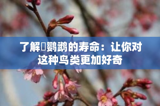 了解鸮鹦鹉的寿命：让你对这种鸟类更加好奇