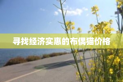 寻找经济实惠的布偶猫价格