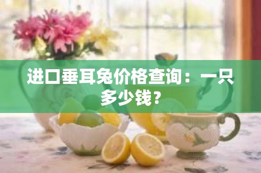 进口垂耳兔价格查询：一只多少钱？