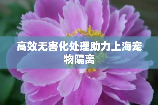 高效无害化处理助力上海宠物隔离