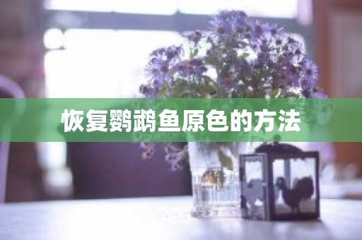 恢复鹦鹉鱼原色的方法