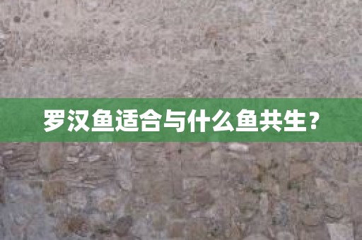 罗汉鱼适合与什么鱼共生？