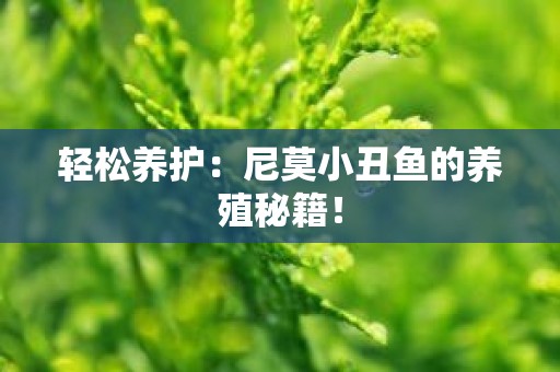 轻松养护：尼莫小丑鱼的养殖秘籍！