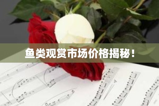 鱼类观赏市场价格揭秘！