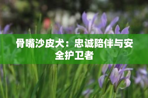 骨嘴沙皮犬：忠诚陪伴与安全护卫者