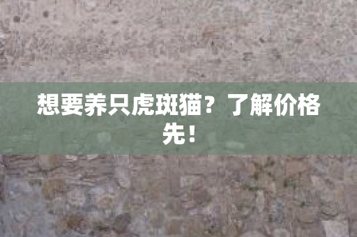 想要养只虎斑猫？了解价格先！