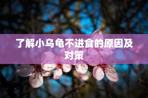 了解小乌龟不进食的原因及对策