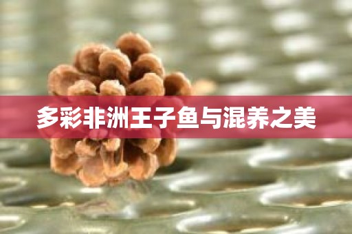 多彩非洲王子鱼与混养之美