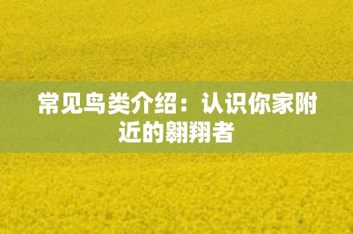 常见鸟类介绍：认识你家附近的翱翔者