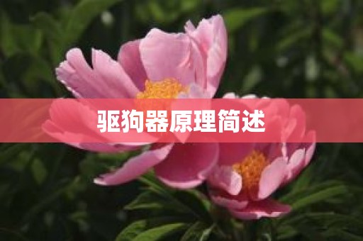 驱狗器原理简述