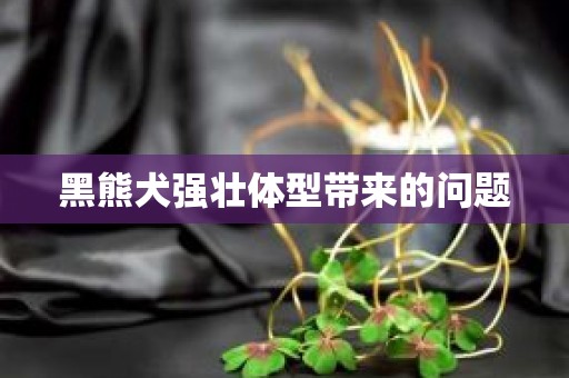 黑熊犬强壮体型带来的问题