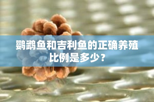 鹦鹉鱼和吉利鱼的正确养殖比例是多少？