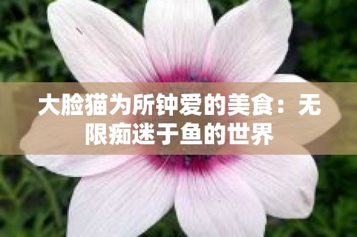 大脸猫为所钟爱的美食：无限痴迷于鱼的世界