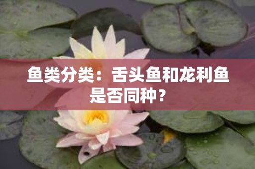 鱼类分类：舌头鱼和龙利鱼是否同种？