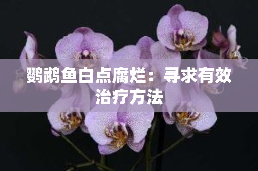 鹦鹉鱼白点腐烂：寻求有效治疗方法