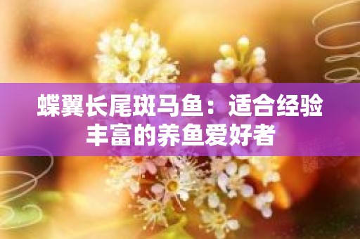 蝶翼长尾斑马鱼：适合经验丰富的养鱼爱好者