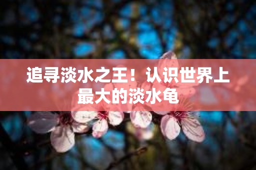 追寻淡水之王！认识世界上最大的淡水龟