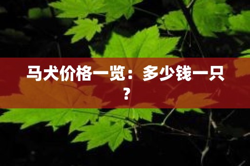 马犬价格一览：多少钱一只？