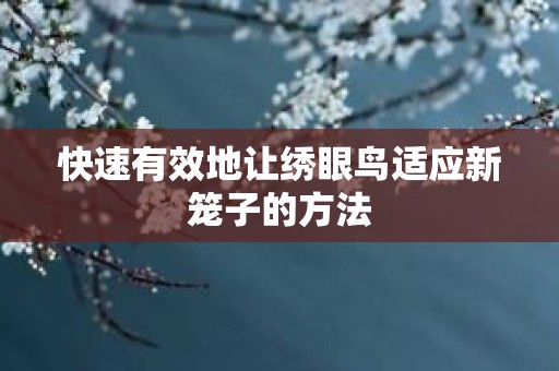快速有效地让绣眼鸟适应新笼子的方法