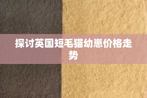 探讨英国短毛猫幼崽价格走势