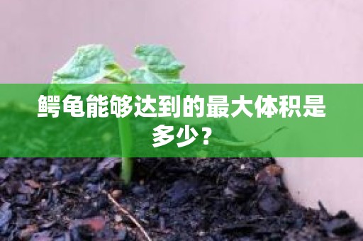 鳄龟能够达到的最大体积是多少？