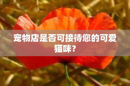 宠物店是否可接待您的可爱猫咪？