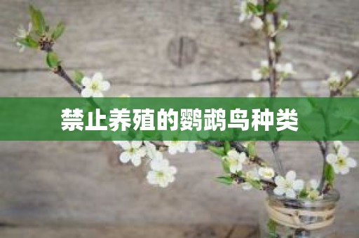 禁止养殖的鹦鹉鸟种类