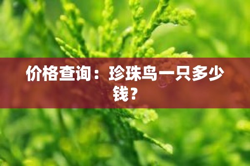 价格查询：珍珠鸟一只多少钱？