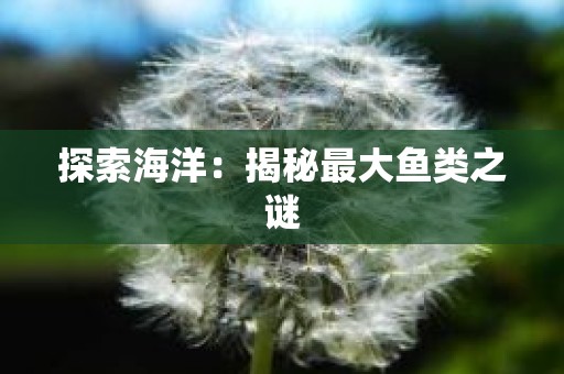 探索海洋：揭秘最大鱼类之谜