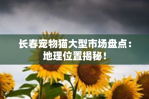 长春宠物猫大型市场盘点：地理位置揭秘！