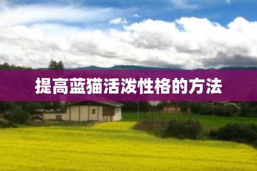 提高蓝猫活泼性格的方法