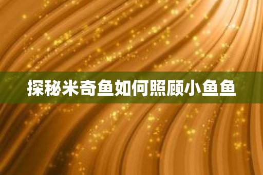 探秘米奇鱼如何照顾小鱼鱼