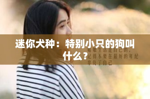 迷你犬种：特别小只的狗叫什么？