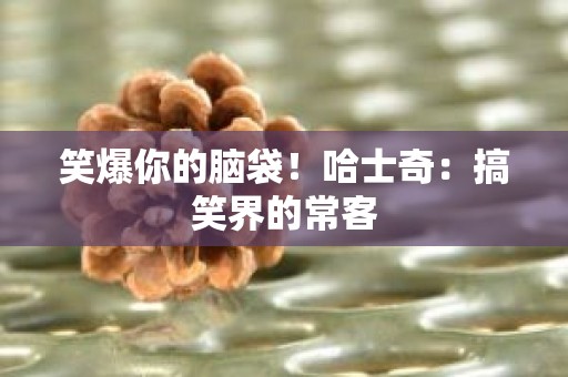 笑爆你的脑袋！哈士奇：搞笑界的常客