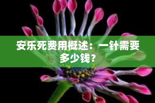 安乐死费用概述：一针需要多少钱？