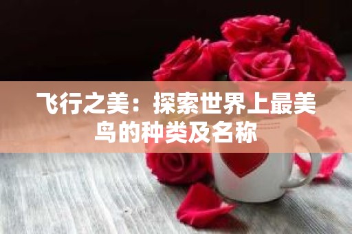 飞行之美：探索世界上最美鸟的种类及名称