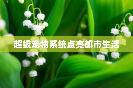 超级宠物系统点亮都市生活