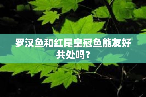 罗汉鱼和红尾皇冠鱼能友好共处吗？