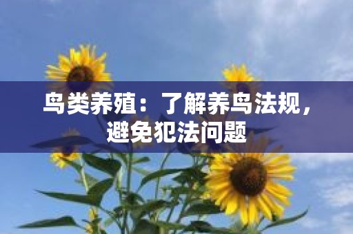 鸟类养殖：了解养鸟法规，避免犯法问题