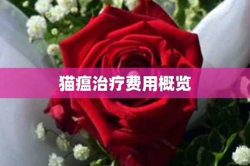 猫瘟治疗费用概览