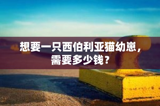 想要一只西伯利亚猫幼崽，需要多少钱？