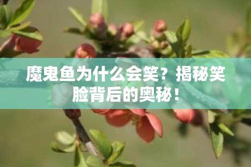 魔鬼鱼为什么会笑？揭秘笑脸背后的奥秘！