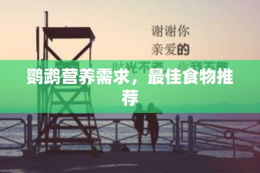 鹦鹉营养需求，最佳食物推荐