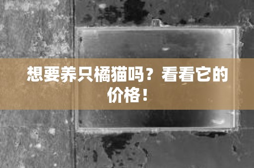 想要养只橘猫吗？看看它的价格！