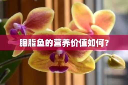 胭脂鱼的营养价值如何？