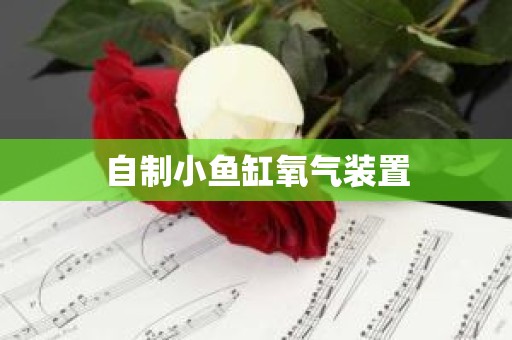 自制小鱼缸氧气装置