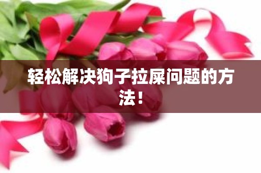 轻松解决狗子拉屎问题的方法！