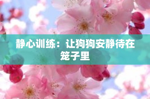 静心训练：让狗狗安静待在笼子里