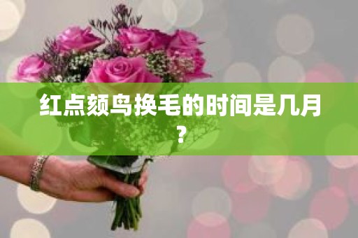 红点颏鸟换毛的时间是几月？