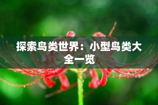 探索鸟类世界：小型鸟类大全一览